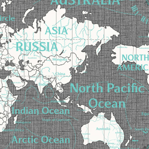 Виниловые обои VernissAGe World Maps 168436-19 1,06x10,05 м серые