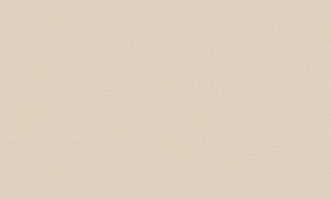 Виниловые обои BelVinil Комета БВ02210321-51М бежевые 1,06x10 м