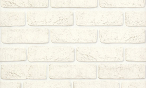 Виниловые обои АСПЕКТ Орхидея 10108-11 белые 0,53x10,05 м