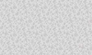 Виниловые обои ERISMANN Basic 60094-06 серые 1,06x10,05 м