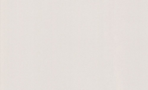 Виниловые обои ERISMANN Basic 60164-09 бежевые 1,06x10,05 м