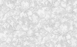 Виниловые обои ERISMANN Mystery 60188-04 серые 1,06x10,05 м