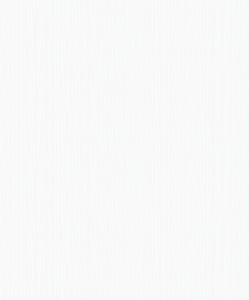 Флизелиновые обои под покраску ERISMANN Defender 2824-1 белые 1,06x25 м