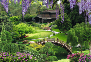 Бумажные обои Восторг Китайский парк 261 2,94х2,01 м