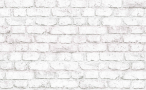 Виниловые обои АРТЕКС Кирпичи 10099-01 белые 1,06х10 м
