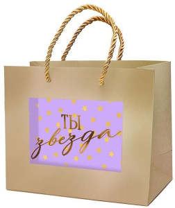 Сумка подарочная Lux Арт и Дизайн с окном 22x18 см в ассортименте