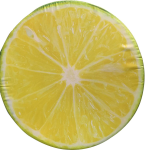 Подушка для стула Лимон 39,5 см желтая