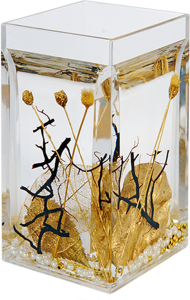 Стакан Verran Alven золотой