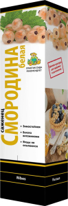 Растение Смородина белая Кремовая ПОИСК С1 Н37