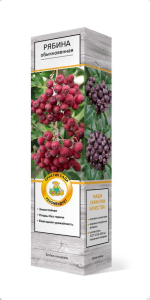 Растение рябина однолетняя микс C1 H60