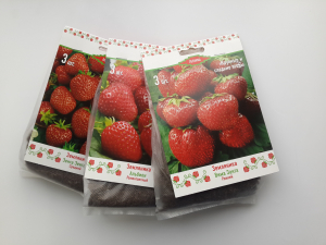 Рассада Земляника в ассортименте №1 3 шт