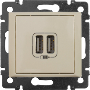 Двойная розетка Legrand Valena 694372 2xUSB 