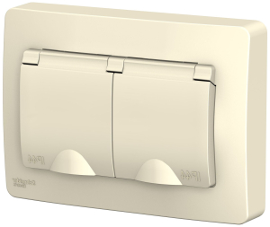 Розетка Schneider Electric Blanca BLNRS441122