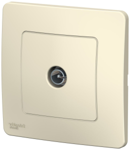 Розетка Schneider Electric Blanca BLNTS000012