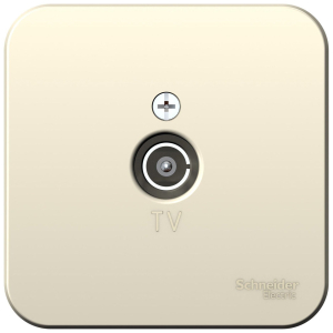 Розетка Schneider Electric Blanca BLNTA000012