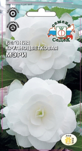 Семена Бегонии СеДеК Мэри белая 10 г
