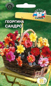 Семена Георгины СеДеК Сандро 0,2 г