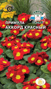 Семена Примулы СеДеК Аккорд красный 5 г