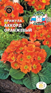 Семена Примулы СеДеК Аккорд оранжевый 5 г
