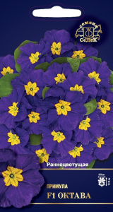 Семена Примулы СеДеК Октава F1 5 г