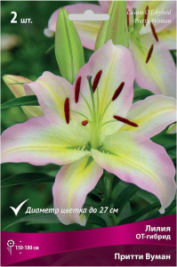 Луковицы Лилии ПОИСК Притти Вуман