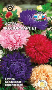 Семена Астры СеДек Колор карпет 20 г