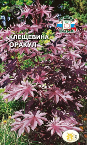 Семена Клещевины СеДек Оракул 1 г