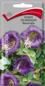 Семена Кобеи ПОИСК Фиолетовая лазающая 5 шт