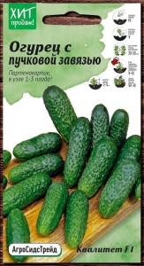 Семена Огурца АгроСидсТрейд Квалитет F1 5 шт