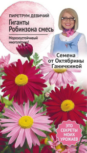 Семена Пиретрума Октябрина Ганичкина Гиганты Робинсона 0,1 г
