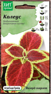 Семена Колеуса АгроСидсТрейд Визард скарлет 2 г