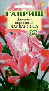Семена Цикламена персидского ГАВРИШ Барбаросса 3 шт