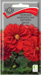 Семена Георгины ПОИСК Барокко красная 1 г
