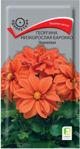 Семена Георгины ПОИСК Барокко оранжевая 1 г