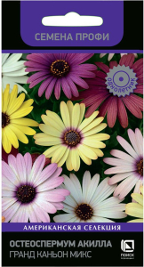 Семена Остеоспермума ПОИСК Гранд Каньон 5 шт