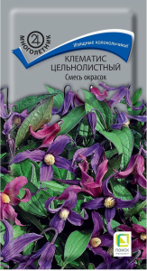 Семена Клематиса ПОИСК  Цельнолистный смесь окрасок 1 г