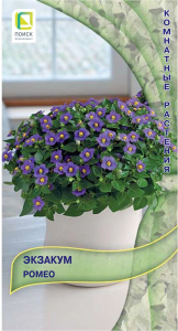 Семена Экзакума ПОИСК Ромео 5 шт