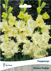 Луковицы гладиолус ПОИСК Лемон Раффл 3 шт