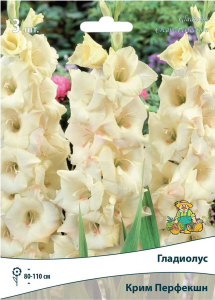 Луковицы Гладиолуса ПОИСК Крим Перфекшн 3 шт