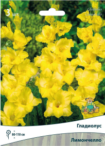 Луковицы Гладиолуса ПОИСК Лимончелло 3 шт