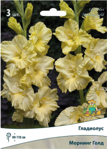 Луковицы Гладиолуса ПОИСК Морнинг Голд 3 шт