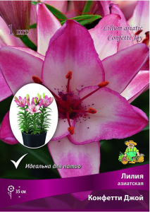 Луковицы лилии ПОИСК Конфетти Джой 1 шт