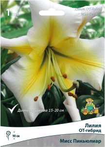 Луковицы лилии ПОИСК Мисс Пикьюлиар 1 шт