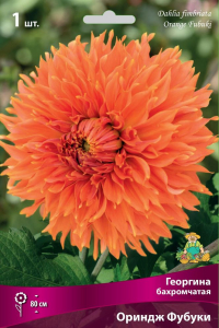 Семена Георгина многолетняя ориндж фубуки 1 шт