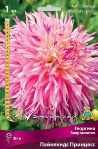 Семена Георгина многолетняя пайнлендс принцесс 1 шт