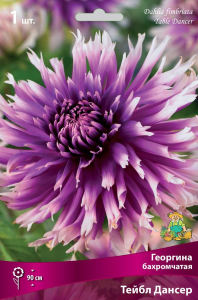Семена Георгина многолетняя тейбл дансер 1 шт