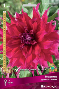 Семена Георгина многолетняя декоративная Джокондо 1 шт