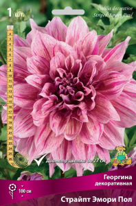 Семена Георгина многолетняя страйпт эмори пол 1 шт