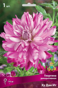 Семена Георгина многолетняя ху дан ит 1 шт