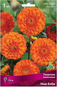 Луковица Георгины помпонной ПОИСК Нью Бэби